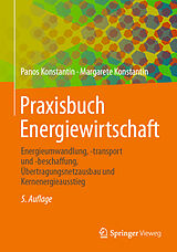 Fester Einband Praxisbuch Energiewirtschaft von Panos Konstantin, Margarete Konstantin
