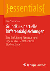 Kartonierter Einband Grundkurs partielle Differentialgleichungen von Jan Swoboda