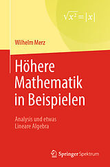Kartonierter Einband Höhere Mathematik in Beispielen von Wilhelm Merz
