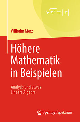 E-Book (pdf) Höhere Mathematik in Beispielen von Wilhelm Merz