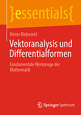 Kartonierter Einband Vektoranalysis und Differentialformen von Dieter Riebesehl