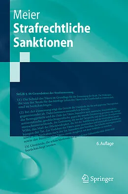 E-Book (pdf) Strafrechtliche Sanktionen von Bernd-Dieter Meier
