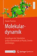 E-Book (pdf) Molekulardynamik von Hauke Paulsen
