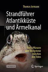 Kartonierter Einband Strandführer Atlantikküste und Ärmelkanal von Thomas Jermann