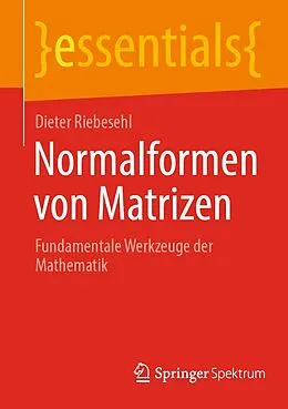 E-Book (pdf) Normalformen von Matrizen von Dieter Riebesehl