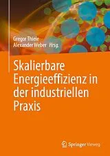 Fester Einband Skalierbare Energieeffizienz in der industriellen Praxis von 