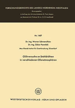E-Book (pdf) Glühversuche an Stahldrähten in verschiedenen Ofenatmosphären von Werner Schwenzfeier