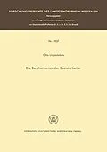 E-Book (pdf) Die Berufssituation der Sozialarbeiter von Otto Lingesleben