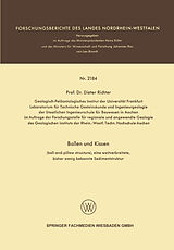 E-Book (pdf) Ballen und Kissen von Dieter Richter