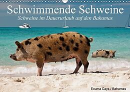 Kalender Schwimmende Schweine / Geburtstagskalender (Wandkalender immerwährend DIN A3 quer) von Elisabeth Stanzer