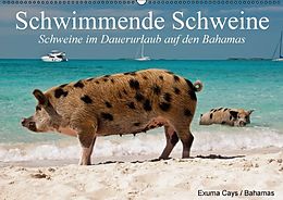 Kalender Schwimmende Schweine / Geburtstagskalender (Wandkalender immerwährend DIN A2 quer) von Elisabeth Stanzer