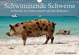 Kalender Schwimmende Schweine / Geburtstagskalender (Wandkalender immerwährend DIN A4 quer) von Elisabeth Stanzer