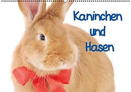 Kalender Kaninchen und Hasen (Wandkalender immerwährend DIN A2 quer) von Elisabeth Stanzer