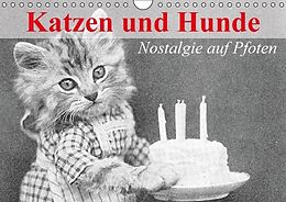 Kalender Katzen und Hunde - Nostalgie auf Pfoten (Wandkalender immerwährend DIN A4 quer) von Elisabeth Stanzer