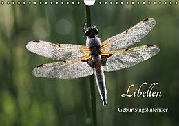 Kalender Libellen Geburtstagskalender (Wandkalender immerwährend DIN A4 quer) von Gudrun Nitzold-Briele