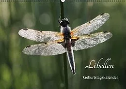 Kalender Libellen Geburtstagskalender (Wandkalender immerwährend DIN A2 quer) von Gudrun Nitzold-Briele