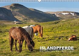 Kalender Islandpferde: Gefährten der Wikinger (Wandkalender immerwährend DIN A3 quer) von Norman Preißler