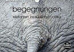 Kalender begegnungen - elefanten im südlichen afrika (Wandkalender immerwährend DIN A4 quer) von k.A. rsiemer