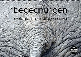 Kalender begegnungen - elefanten im südlichen afrika (Wandkalender immerwährend DIN A2 quer) von k.A. rsiemer