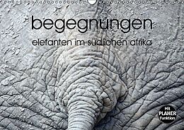 Kalender begegnungen - elefanten im südlichen afrika (Wandkalender immerwährend DIN A3 quer) von k.A. rsiemer