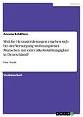 E-Book (epub) Welche Herausforderungen ergeben sich bei der Versorgung wohnungsloser Menschen mit einer Alkoholabhängigkeit in Deutschland? von Annina Schäflein