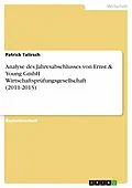 E-Book (epub) Analyse des Jahresabschlusses von Ernst & Young GmbH Wirtschaftsprüfungsgesellschaft (2011-2013) von Patrick Talirsch