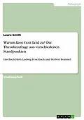 E-Book (pdf) Warum lässt Gott Leid zu? Die Theodizeefrage aus verschiedenen Standpunkten von Laura Smith