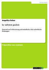 eBook (pdf) Le substrat gaulois de Angelika Felser
