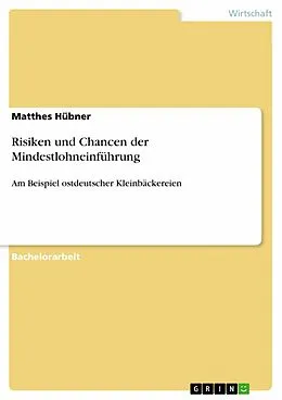 E-Book (pdf) Risiken und Chancen der Mindestlohneinführung von Matthes Hübner