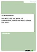 E-Book (pdf) Die Bedeutung von Schule für traumatisierte unbegleitete minderjährige Flüchtlinge von Stefanie Schneider