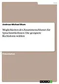E-Book (pdf) Möglichkeiten des Zusammenschlusses für SprachmittlerInnen: Die geeignete Rechtsform wählen von Andreas-Michael Blum