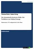E-Book (pdf) Die dynamische konvexe Hülle. Ein Verfahren zur Online-Lösung von Thomas Plehn, Robert Einig
