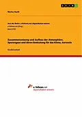 E-Book (pdf) Zusammensetzung und Aufbau der Atmosphäre. Spurengase und deren Bedeutung für das Klima, Aerosole von Marina Hauth