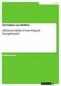 E-Book (pdf) Effizientes Risiko-Controlling im Energiehandel von Ali Tunbek, Lars Meißner