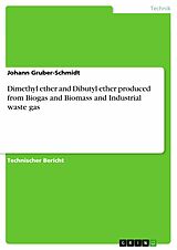 E-Book (pdf) Dimethyl ether and Dibutyl ether produced from Biogas and Biomass and Industrial waste gas von Johann Gruber-Schmidt