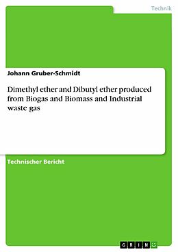 E-Book (pdf) Dimethyl ether and Dibutyl ether produced from Biogas and Biomass and Industrial waste gas von Johann Gruber-Schmidt