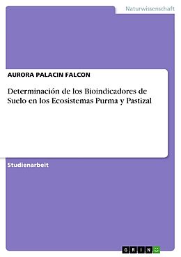 Kartonierter Einband Determinación de los Bioindicadores de Suelo en los Ecosistemas Purma y Pastizal von Aurora Palacin Falcon