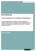 E-Book (pdf) Untersuchung zum Gefühl des Erhabenen von Felix Jeschonnek