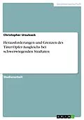 E-Book (pdf) Herausforderungen und Grenzen des Täter-Opfer-Ausgleichs bei schwerwiegenden Straftaten von Christopher Ursuleack