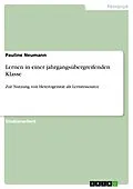 E-Book (pdf) Lernen in einer jahrgangsübergreifenden Klasse von Pauline Neumann