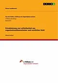 E-Book (pdf) Privatisierung von Luftsicherheit aus organisationstheoretischer und rechtlicher Sicht von Simon Landmesser