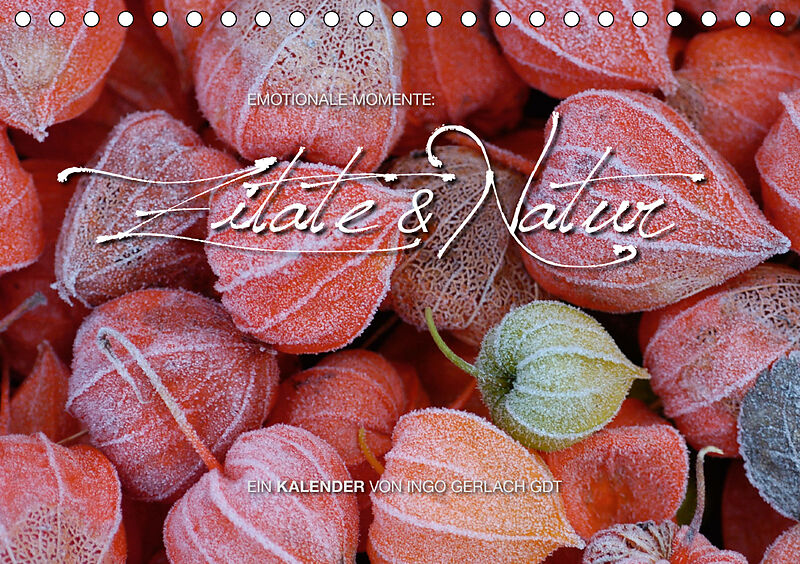 Download Momente zitate For iPhone Free Momente Zitate