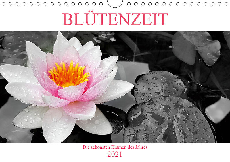 Blutenzeit Die Schonsten Blumen Des Jahres Wandkalender 21 Din Quer Chris Henri Buch Kaufen Ex Libris