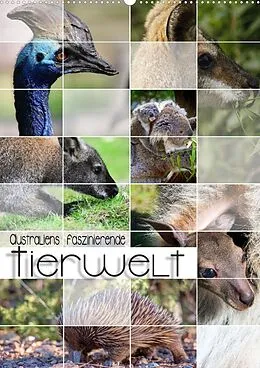 Kalender Australiens faszinierende Tierwelt (Premium, hochwertiger DIN A2 Wandkalender 2022, Kunstdruck in Hochglanz) von Renate Utz