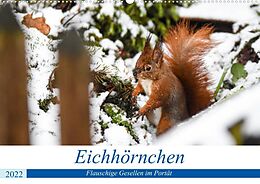 Kalender Frankens Eichhörnchen (Premium, hochwertiger DIN A2 Wandkalender 2022, Kunstdruck in Hochglanz) von Philippe Lotz
