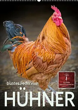 Kalender Hühner - buntes Federvieh (Wandkalender 2022 DIN A2 hoch) von Peter Roder