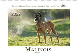 Kalender Malinois... was sonst! (Wandkalender 2022 DIN A2 quer) von Martina Wrede - Wredefotografie