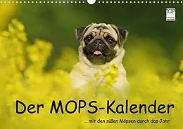 Kalender Der MOPS-Kalender (Wandkalender 2022 DIN A3 quer) von Kathrin Köntopp