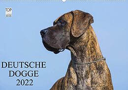 Kalender Deutsche Dogge 2022 (Premium, hochwertiger DIN A2 Wandkalender 2022, Kunstdruck in Hochglanz) von Sigrid Starick