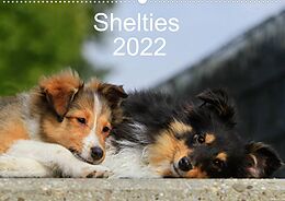 Kalender Shelties 2022 (Wandkalender 2022 DIN A2 quer) von Marion Reiß - Seibert